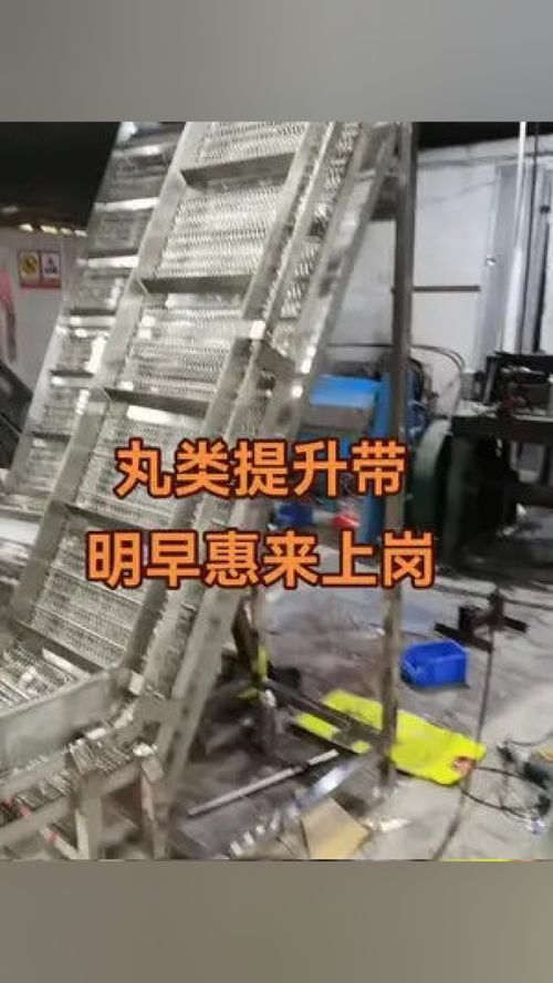 專業(yè)丸類設(shè)備制造商 肉類輸送提升帶 工廠實拍視頻 肉類加工設(shè)備 偉亨食品機械